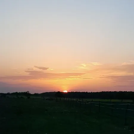 Luxuszelt In Der Pferdeherde * Kruge-Gersdorf