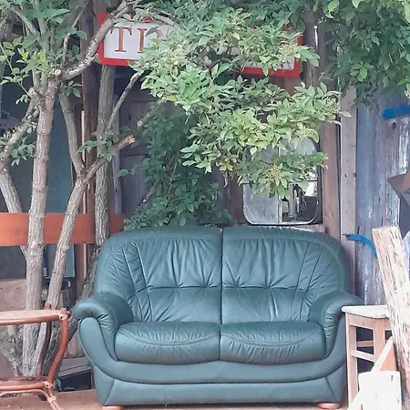 Luxuszelt In Der Pferdeherde Luxury tent
